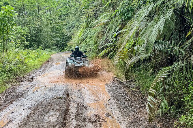 ATV Quad Bike Adventure (Coral Coast Fiji) - Who Will Love This Tour?