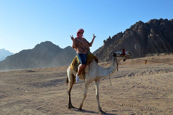ATV Quad bike Adventure Desert Safari Tour In Sharm El Sheikh - The Practical Details