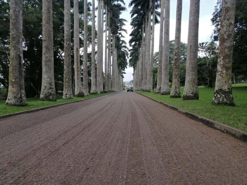 ATV quad bike, Botanical Garden, and Waterfall private tour - Frequently Asked Questions