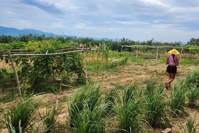 ATV Quad Bike Hoi An Adventure - A Whirlwind of Adventure in Hoi An’s Countryside
