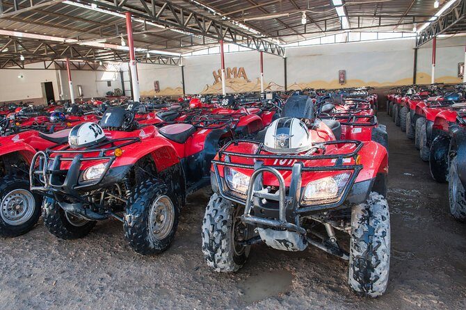 ATV Quad Bike Ride Safari and Camel Ride With Transfer - Hurghada - A Closer Look at the Tour Experience