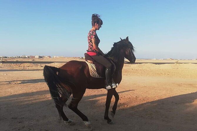 ATV Quad Bike Safari & 1 Hour Horse Riding - Sharm El Sheikh - Key Points