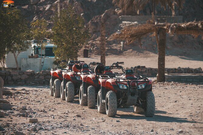 ATV Quad Safari, Camel Ride & Party With Dinner - Sharm El Sheikh - What to Expect on the Tour