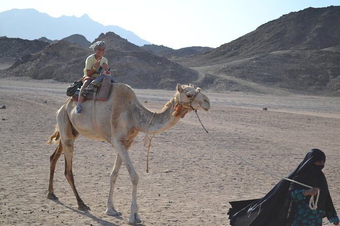 ATV Quad Safari Tour & Camel Ride With Transfer - Marsa Alam - The Experience: From Pickup to Desert Delight