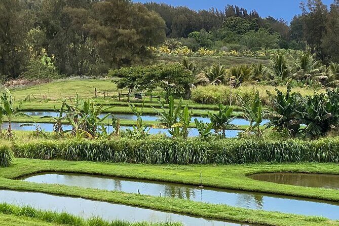 ATV Ranch ride Big Island Hawaii - Practical Details & Tips