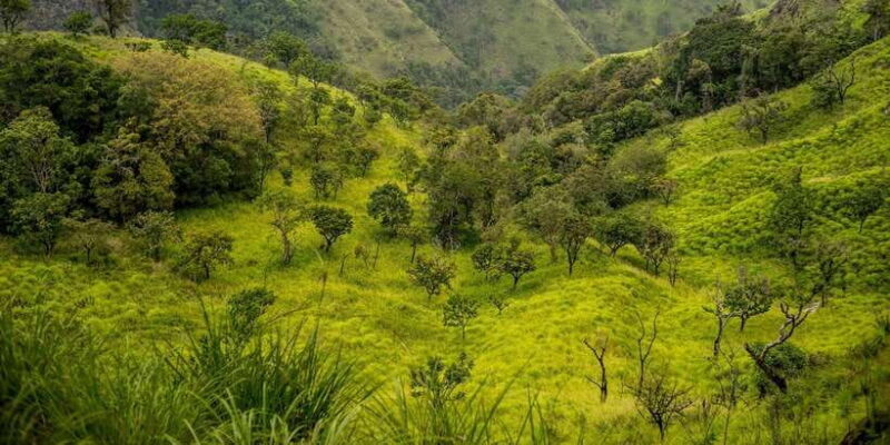 ATV Ride in Ella - Discovering the Ella ATV Adventure