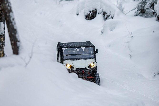 ATV Side by Side Guided 4x4 Tour - Is This Adventure Right for You?