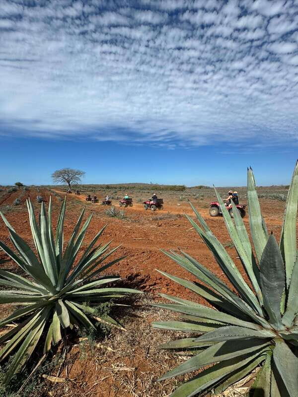 ATV & TEMAZCAL COMBO TOUR - Who Will Love This Tour?