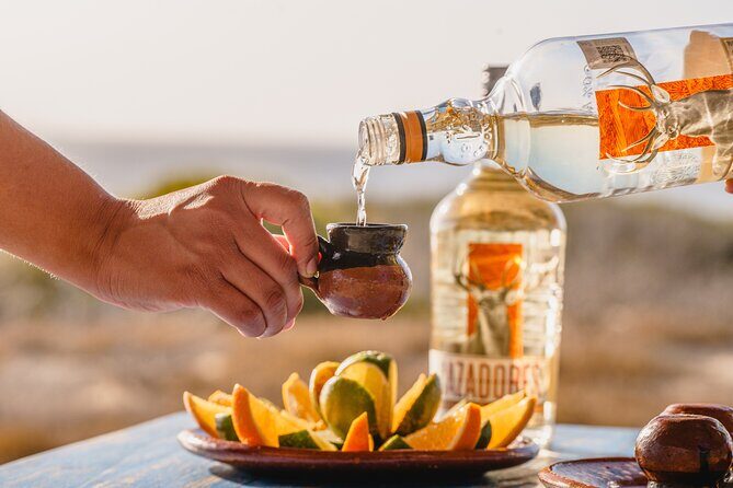 ATV Tour, Camel Ride, Tequila Tasting and Mexican Buffet Lunch - A Well-Rounded Adventure Through Baja’s Natural and Cultural Landscape