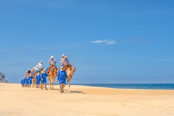 ATV Tour, Camel Ride, Tequila Tasting and Mexican Buffet Lunch - Frequently Asked Questions