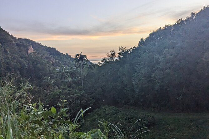 ATV Tour: Eco Friendly Scenic Bellwood Layou Rainforest - An In-Depth Look at the ATV Adventure