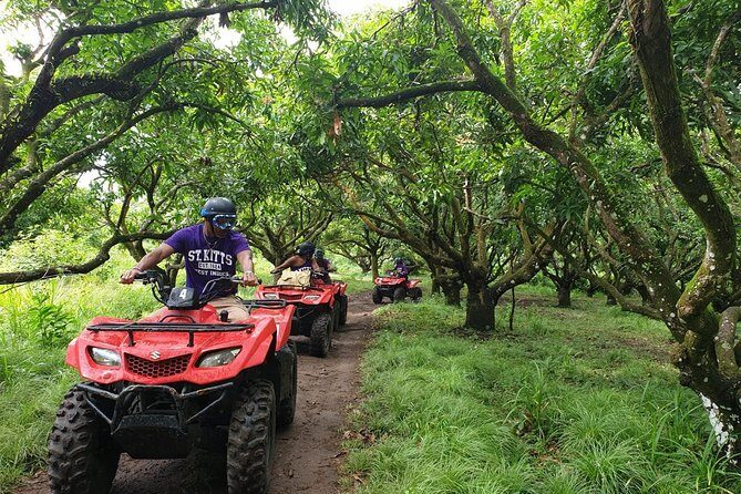 ATV Tour of St Kitts - The Sum Up: Who Will Love This ATV Tour?