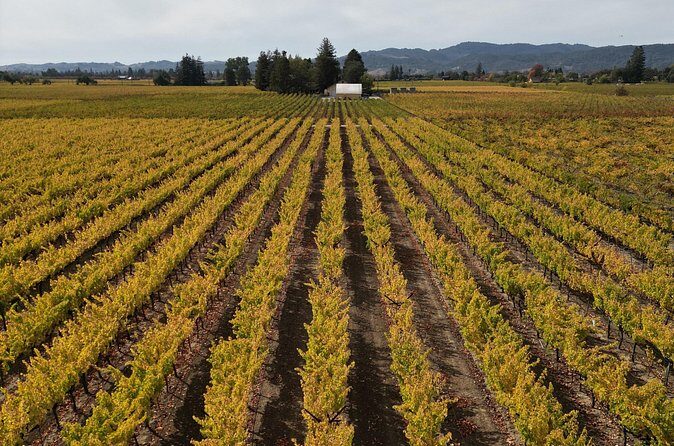 ATV Vineyard Tour and Wine Tasting - Final Thoughts