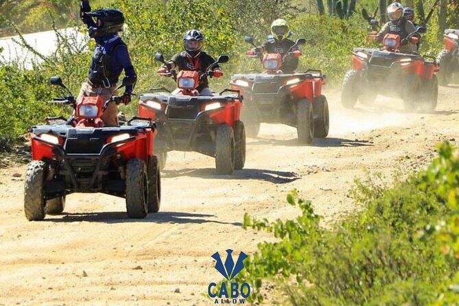 ATVS Beach in Los Cabos Single - The Itinerary: What to Expect from Start to Finish