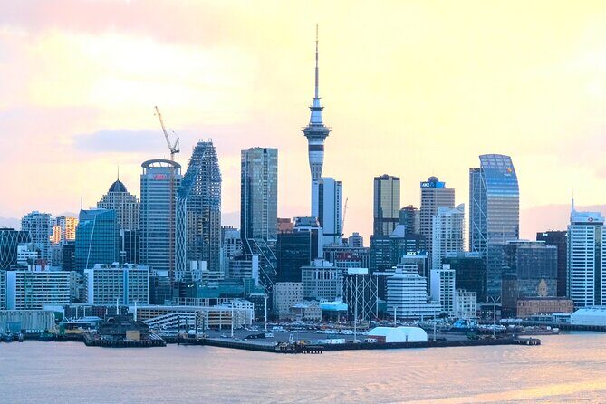Auckland Airport AKL to Auckland/NorthShore/Middlemore/Chinatown - Vehicle Comfort and Service Level