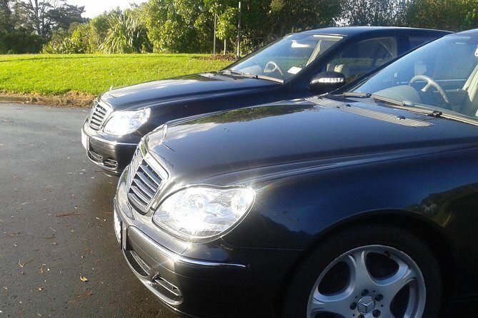Auckland Airport and City Transfers (To or from) - The Experience: What You Can Expect