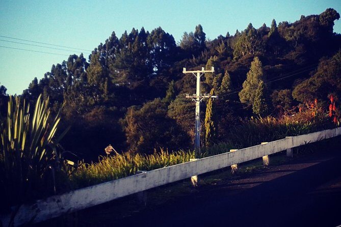 Auckland Airport and City Transfers (To or from) - The Final Verdict
