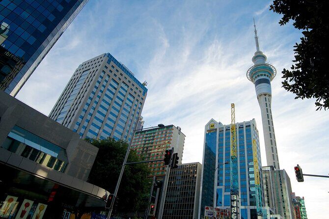 Auckland Airport Transfers: Auckland to Auckland Airport AKL in Luxury Van - Final Thoughts
