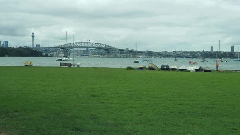 Auckland: Auckland City Tour 4 hours private - Key Points