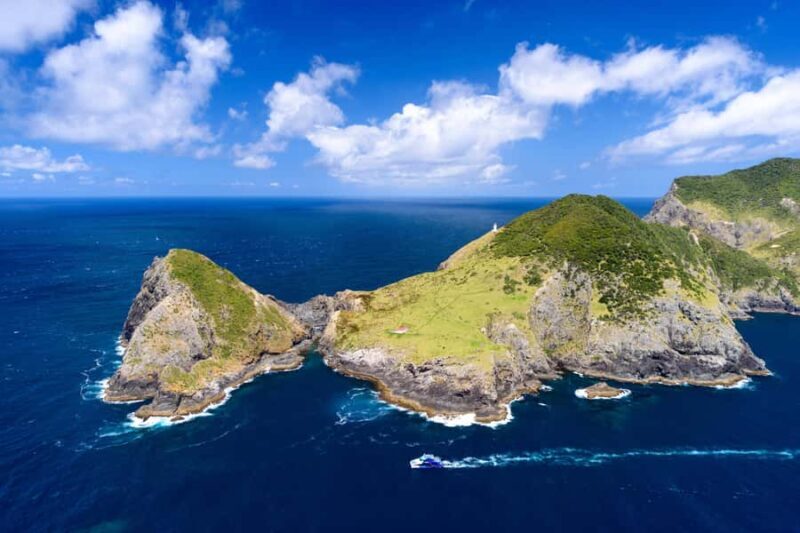 Auckland: Bay of Islands Day Tour with Dolphin Cruise - Analyzing the Price and Value