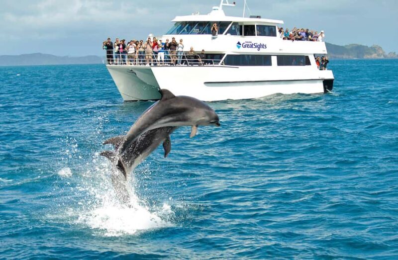 Auckland: Bay of Islands Day Tour with Dolphin Cruise - Who Will Love This Tour?