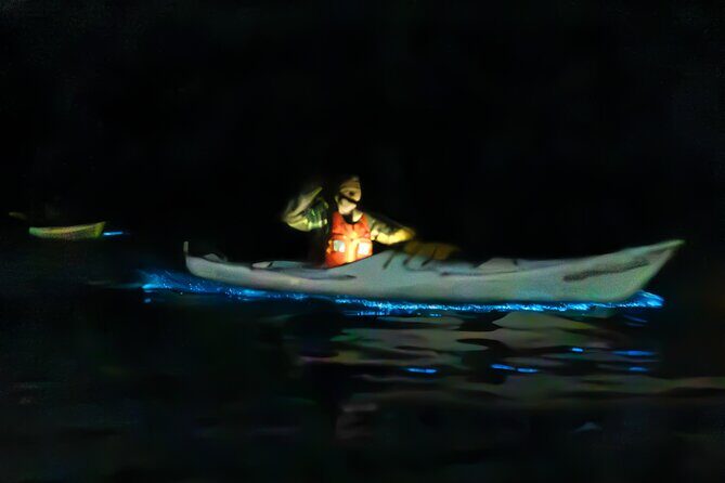 Auckland Bioluminescence Kayak Tour - An Introduction to the Experience