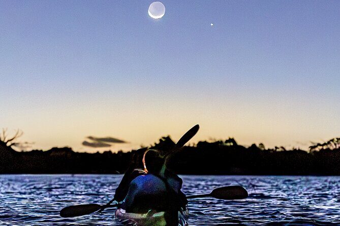 Auckland Bioluminescence Kayak Tour - Why This Tour Offers Great Value