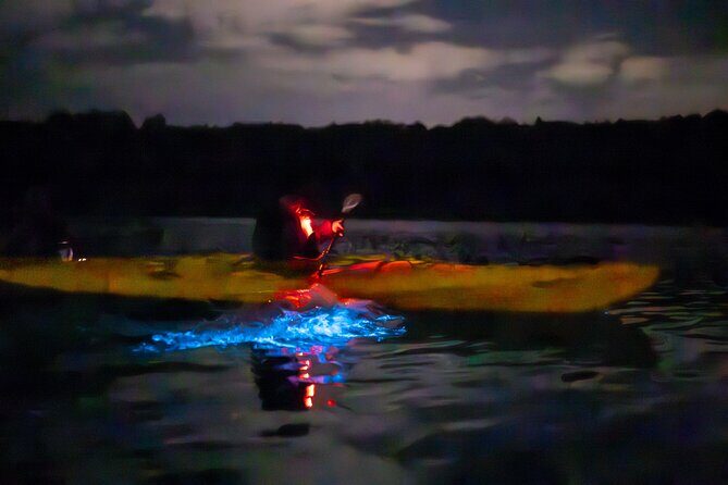 Auckland Bioluminescence Kayak Tour - FAQs