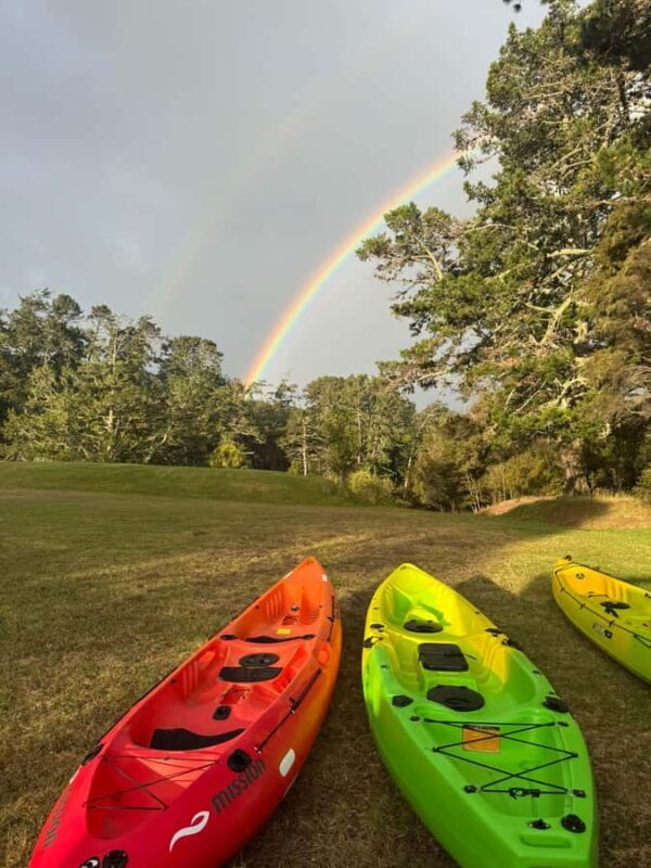 Auckland: Bioluminescence Kayak Tour with Guide - Preparing for Your Night Paddle