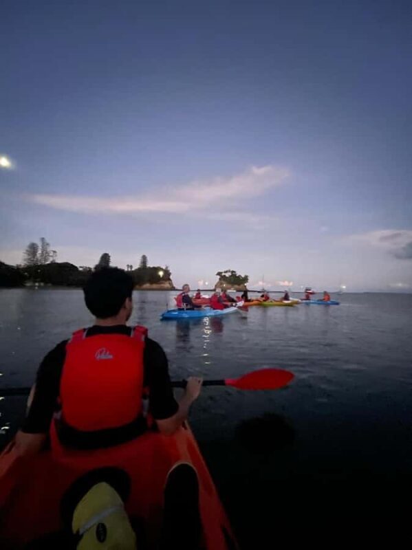 Auckland: Bioluminescence Kayak Tour with Guide - The Experience: From Expectations to Reality