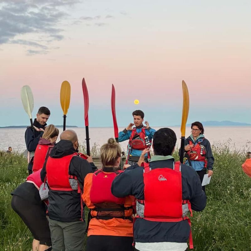 Auckland: Bioluminescence Kayak Tour with Guide - The Sum Up