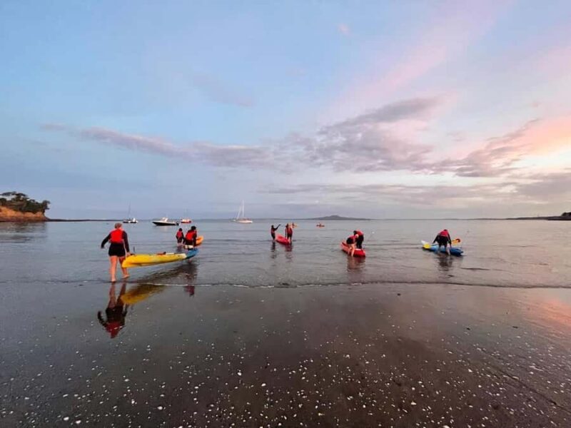 Auckland: Bioluminescence Kayak Tour with Guide - FAQ