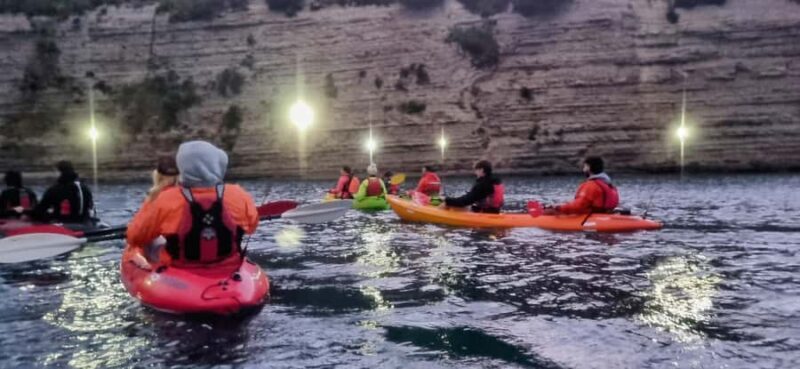 Auckland: Bioluminescence Kayak Tour with Guide - Final Thoughts