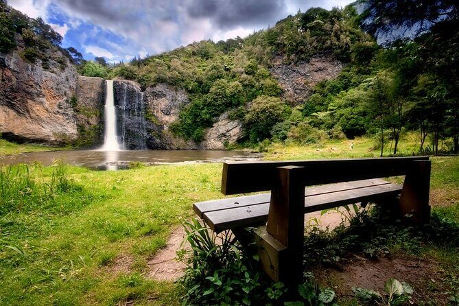 Auckland Birdwatching and Hiking Private Tour - The Sum Up: A Natural Treasure for Curious Travelers