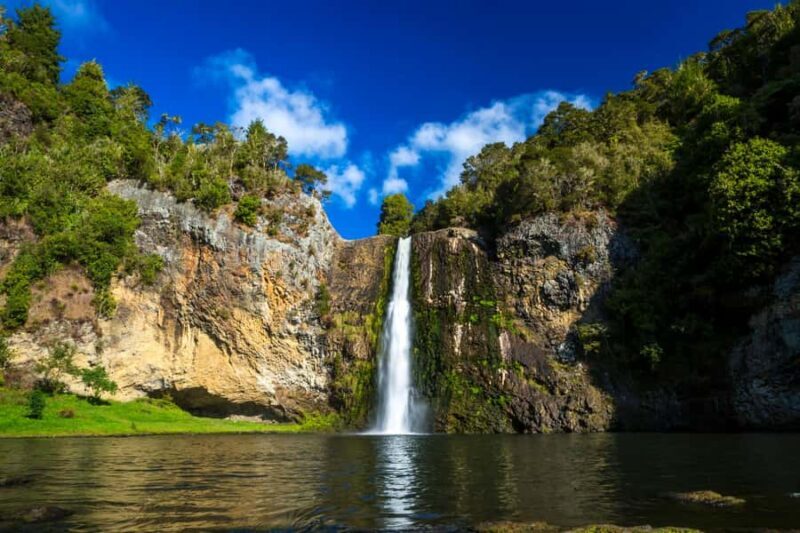 Auckland: Birdwatching, Hiking & Waterfalls Tour - Key Points