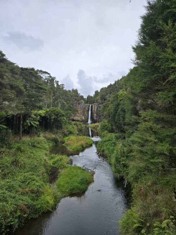 Auckland: Birdwatching, Hiking & Waterfalls Tour - An In-Depth Look at the Auckland: Birdwatching, Hiking & Waterfalls Tour