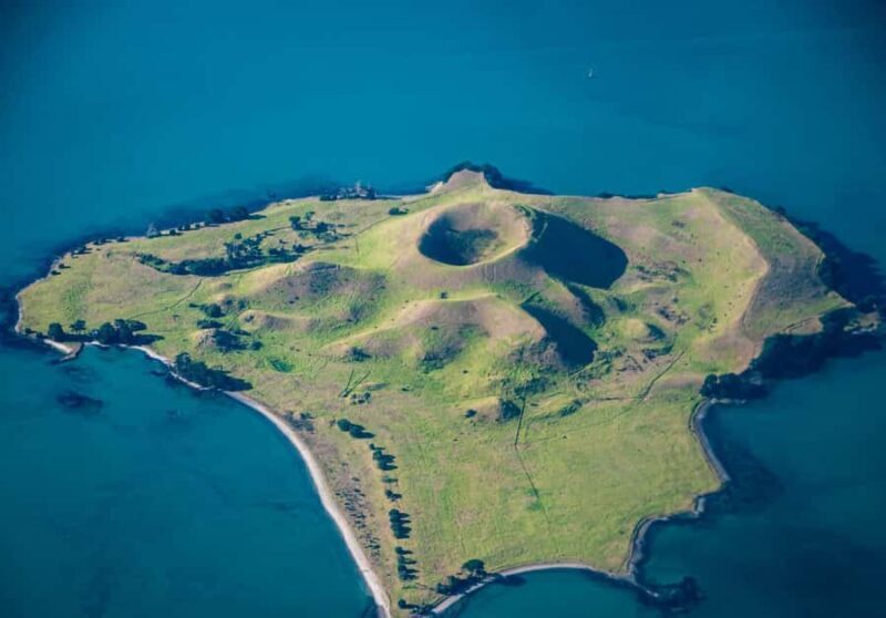 Auckland: Browns Island (Motukorea) Sea Kayak Tour - Wildlife and Birdwatching Opportunities