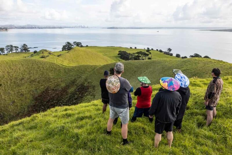 Auckland: Browns Island (Motukorea) Sea Kayak Tour - What to Expect During the Tour
