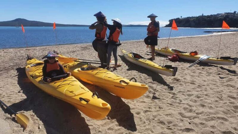 Auckland: Browns Island (Motukorea) Sea Kayak Tour - The Experience and Atmosphere
