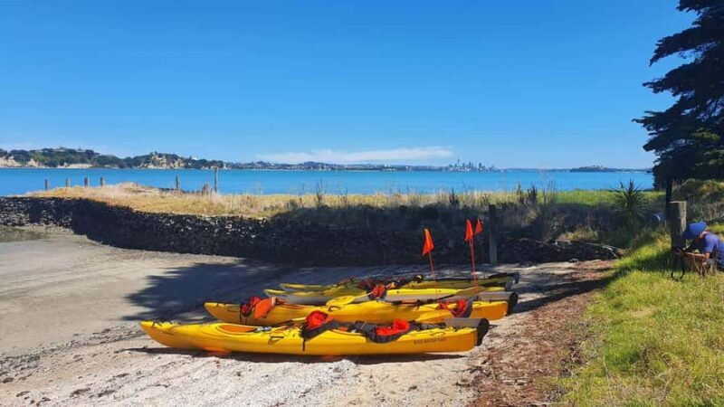 Auckland: Browns Island (Motukorea) Sea Kayak Tour - Value and Practical Considerations