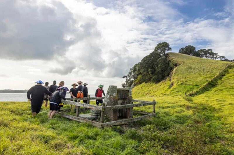 Auckland: Browns Island (Motukorea) Sea Kayak Tour - Highlighted Reviews and Authentic Voices
