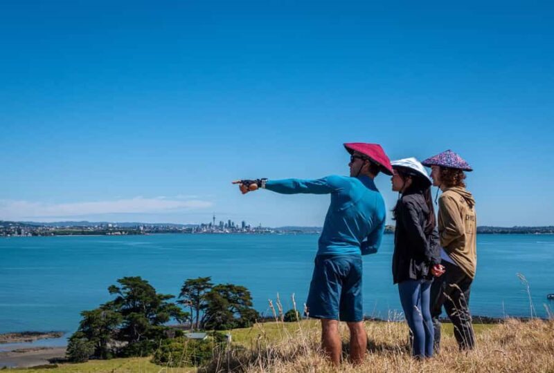 Auckland: Browns Island (Motukorea) Sea Kayak Tour - The Sum Up