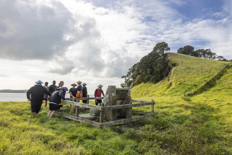 Auckland: Browns Island (Motukorea) Sea Kayak Tour - FAQ
