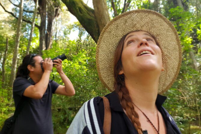 Auckland Bush, Beach and Bites Trail - Pricing and Value