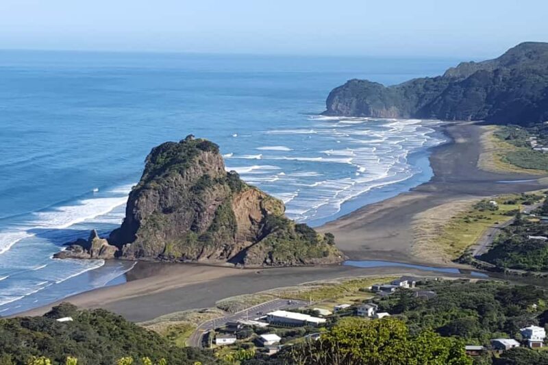 Auckland City, Beaches & Rainforest Premium Small Group Tour - What We Loved and Considered