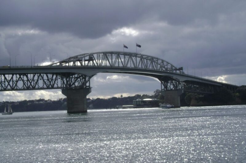 Auckland City, Beaches & Rainforest Premium Small Group Tour - Who Should Book This Tour?