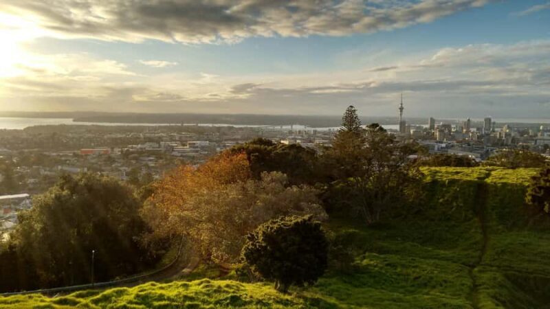Auckland City Full Tour -PRIVATE TOUR - FAQs