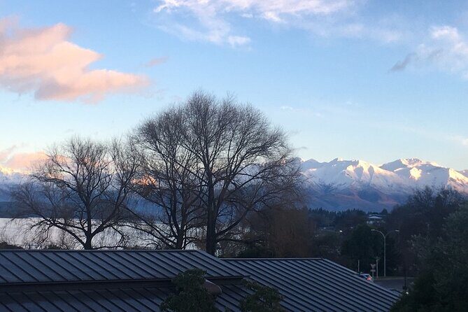 Auckland City Half Day Tour - Who Would Appreciate This Tour?