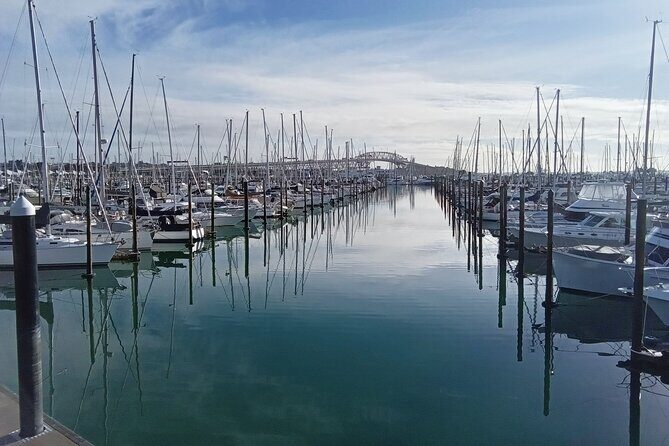 Auckland City Halfday Guide Tour - What Makes This Tour Stand Out?