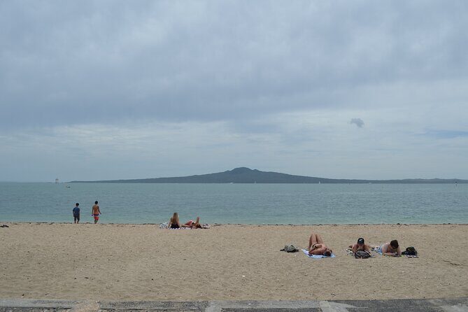 Auckland City Halfday Main Tour - A Deep Dive into the Itinerary
